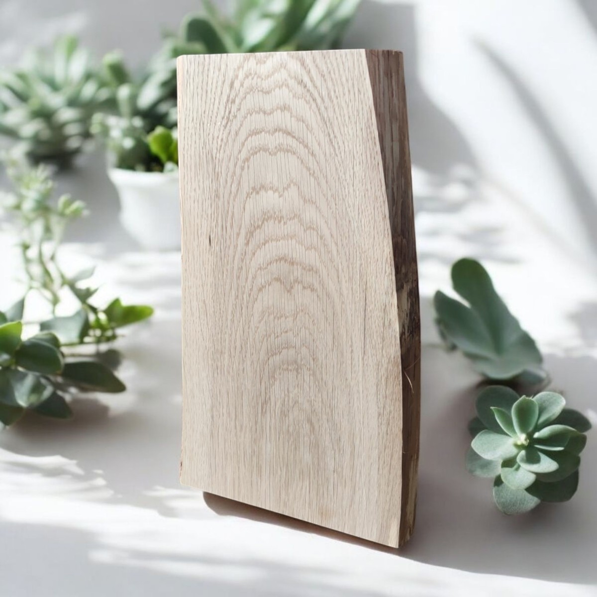 podobrazie drewniane malarskie bez kory, nieregularny kształt, widok z góry; format 30,5×12–16×2 cm, stabilna baza do malowania