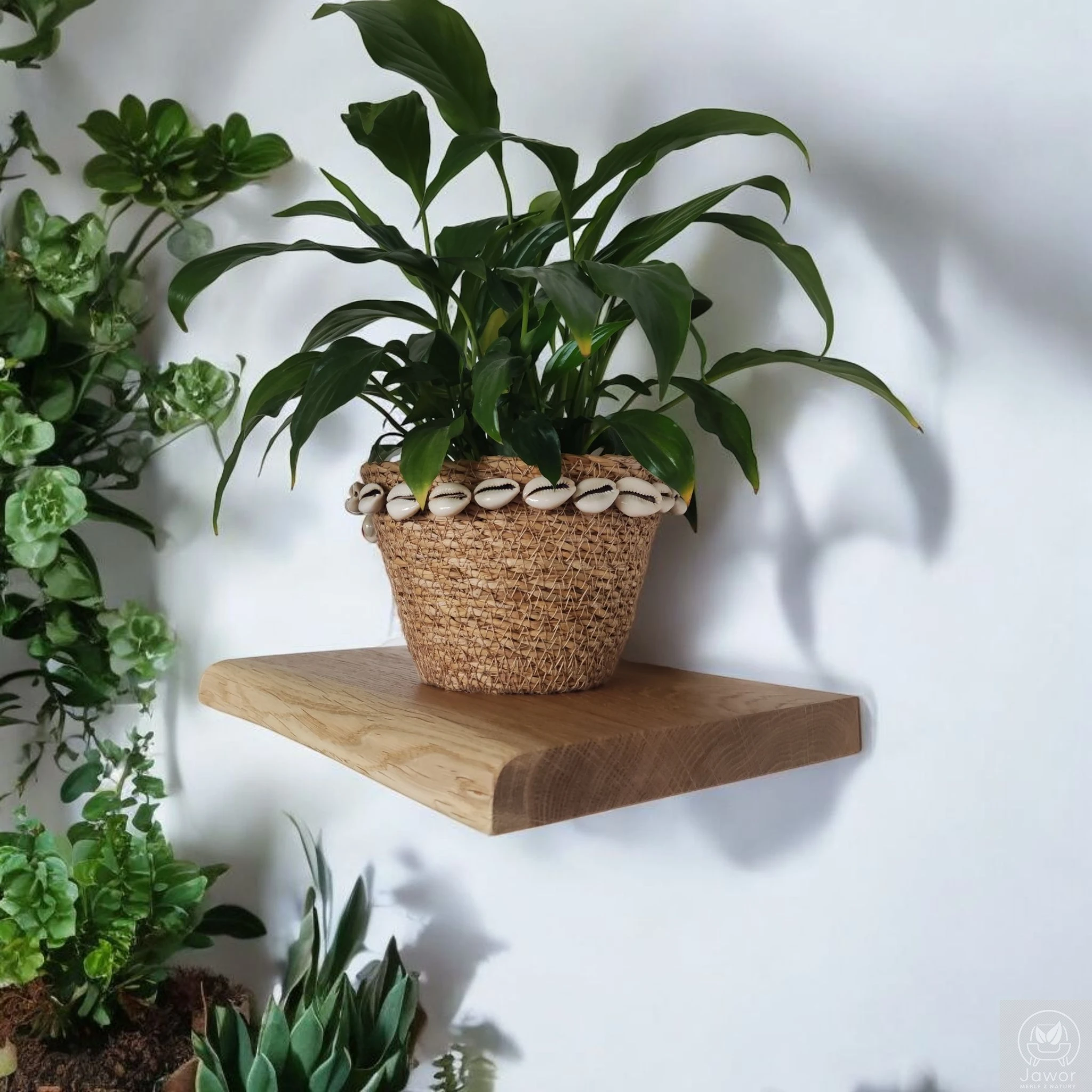 Półka dębowa na kwiaty 30 cm – zbliżenie, nieregularna naturalna krawędź, lity dąb 2,5 cm