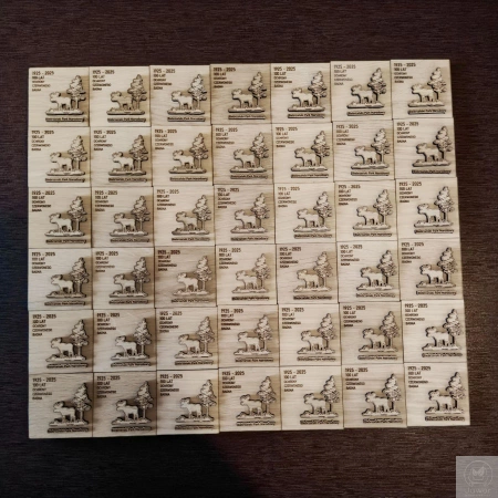 MAGNES firmowy z drewna z logo – gadżet reklamowy z grawerem i 3D