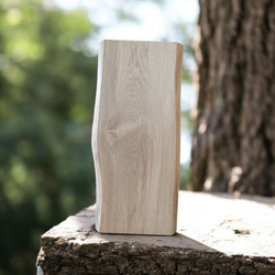 PODOBRAZIE drewniane – deska malarska bez kory (nieregularny kształt), 42×16–17×2,2 cm