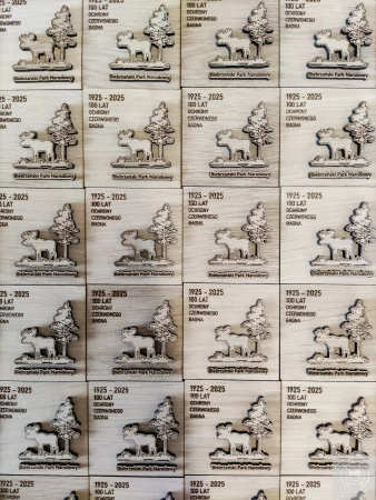 MAGNES firmowy z drewna z logo – gadżet reklamowy z grawerem i 3D