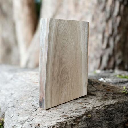 PODOBRAZIE drewniane – deska malarska bez kory (nieregularny kształt), 32,5×15,5–21×2,6 cm